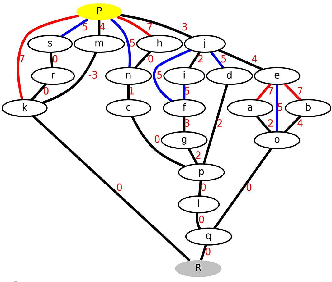 Transition Network