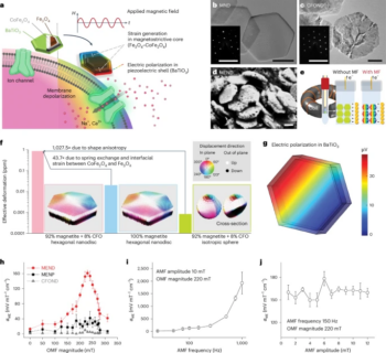 Zum Artikel "Paper published in Nature Nanotechnoloy"