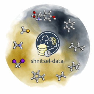 Towards entry "SHNITSEL-data"