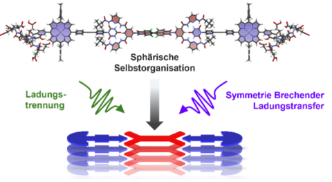 Towards entry "Multidirektionaler Ladungstransfer in selbstorganisierenden Supra-Amphiphilen"